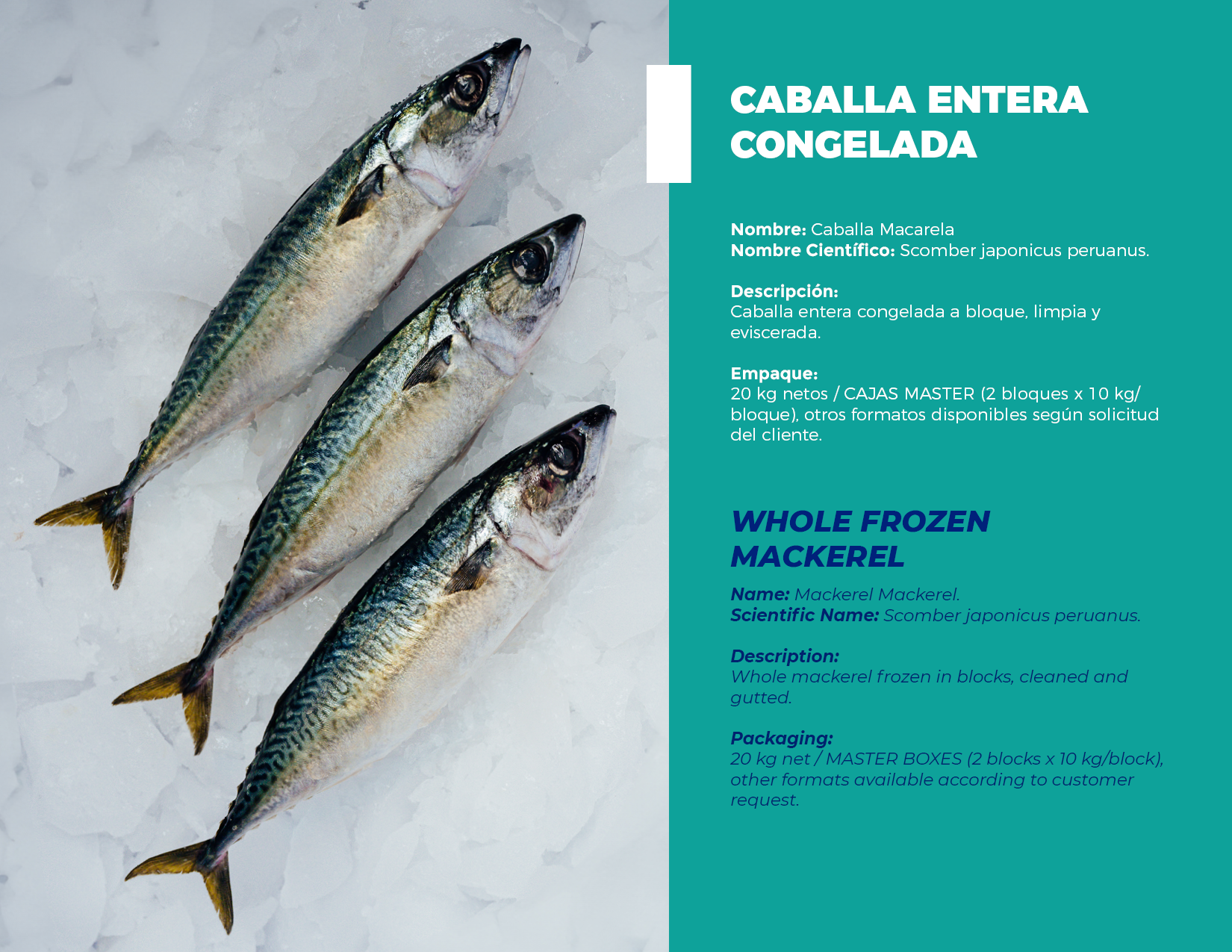 brochure 1